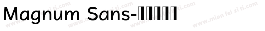 Magnum Sans字体转换